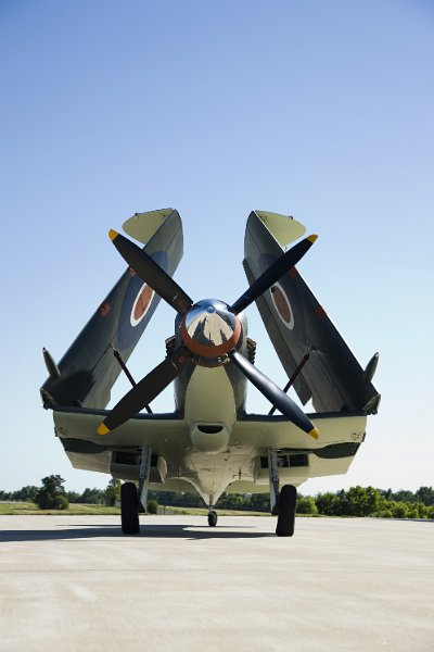 Seafire Mk. XV 3